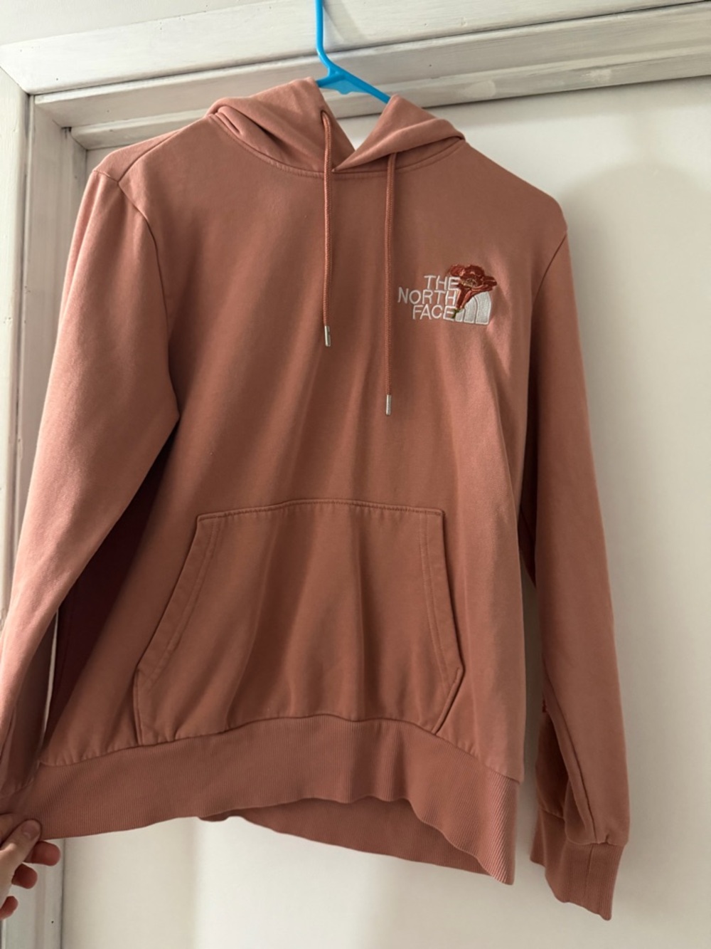 The North Face Rosewood Pullover Hoodie